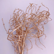 Preserved Flowers Gold Tree Branches | DreamGarden SG