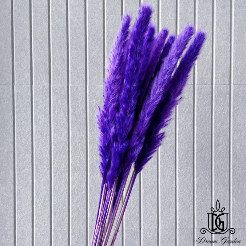 🇸🇬[SG Stock] Dried Flower Preserved  preserved flower wholesaler Dried bleach Small Pampas Grass