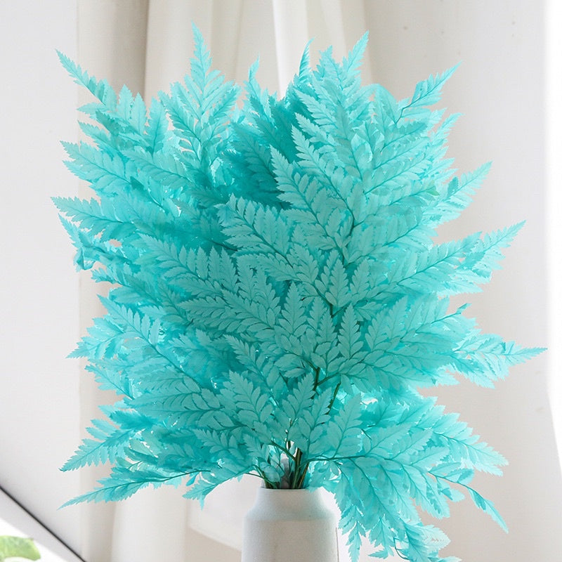 🇸🇬[SG Stock]Preserved Rainbow Fern Dried Flowers Preserved Singapore Local Wholesalers Home Decoration/DIY/Wedding