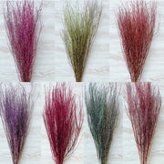 Preserved Snow Willow Branches For Home | DreamGarden SG