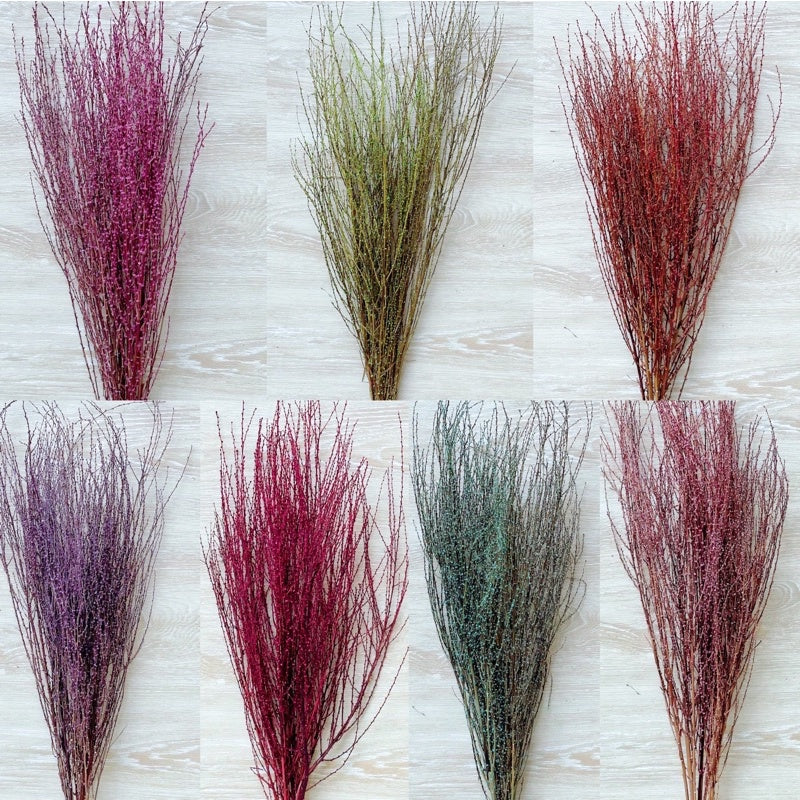 🇸🇬[SG Stock] Preserved Snow Willow Branches For Home Decor/DIY/Wedding/Glass Cover Dome Dried Eternal Flowers