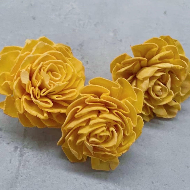 🇸🇬[SG Stock]Preserved Flowers Dried Flowers Colored Sola Flowers Wood Flower Handmade Flower Chrysanthemum Lotus Peony