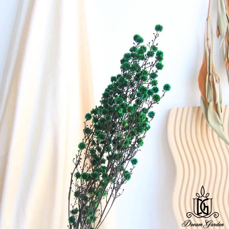 🇸🇬[SG Stock] Preserved Flower Branches For Home Decor/DIY/Wedding/Glass Cover Dome Dried Eternal Stirlingia Flowers