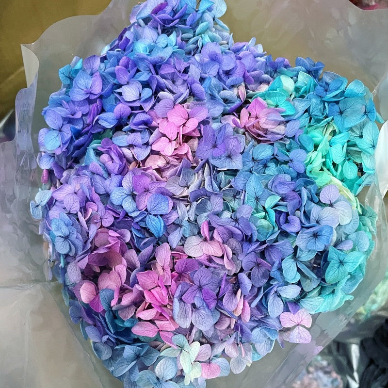🇸🇬[SG Stock]Preserved Flowers Grade A Preserved Hydrangea Singapore Local Wholesalers Home Decoration/DIY/Wedding