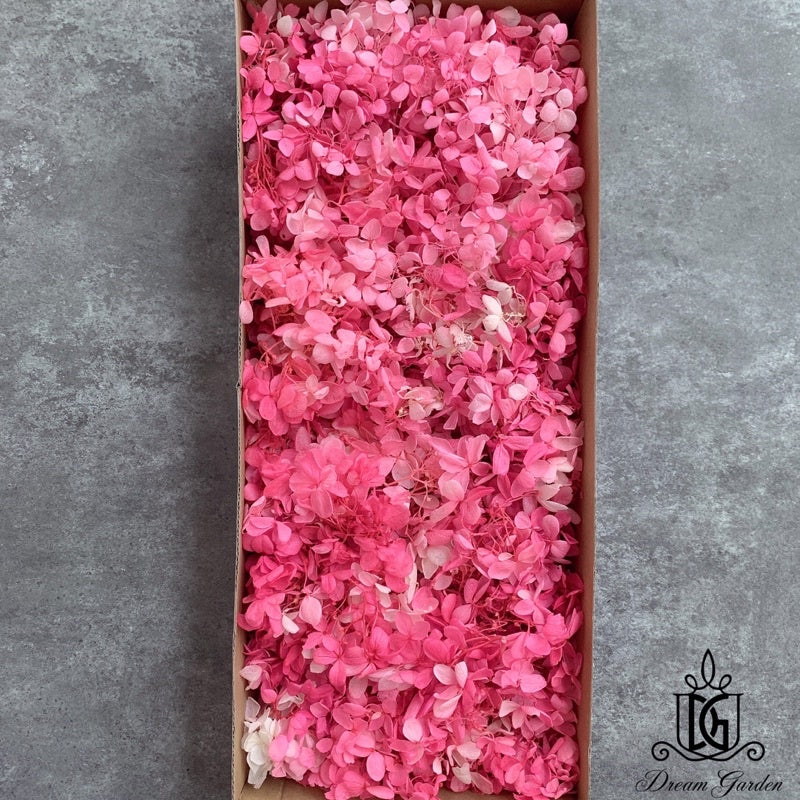 🇸🇬[SG Stock]Dream Garden Preserved Flowers Dried Flowers Grade B Preserved Hydrangea Singapore Local