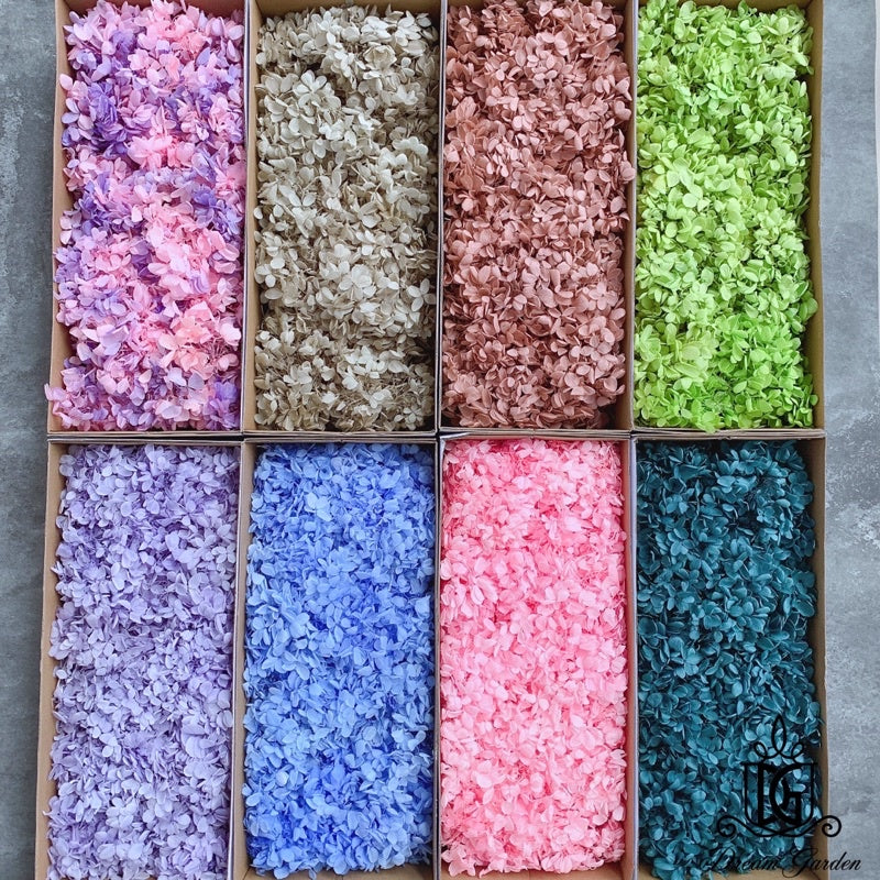 🇸🇬[SG Stock]Dream Garden Preserved Flowers Dried Flowers Grade B Preserved Hydrangea Singapore Local