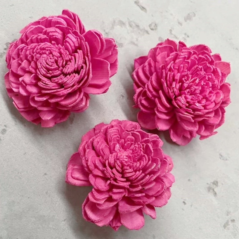 🇸🇬[SG Stock]Preserved Flowers Dried Flowers Colored Sola Flowers Wood Flower Handmade Flower Chrysanthemum Lotus Peony