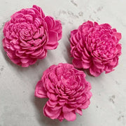 Preserved Flowers Colored Sola Flowers Wood Flower | DreamGarden SG