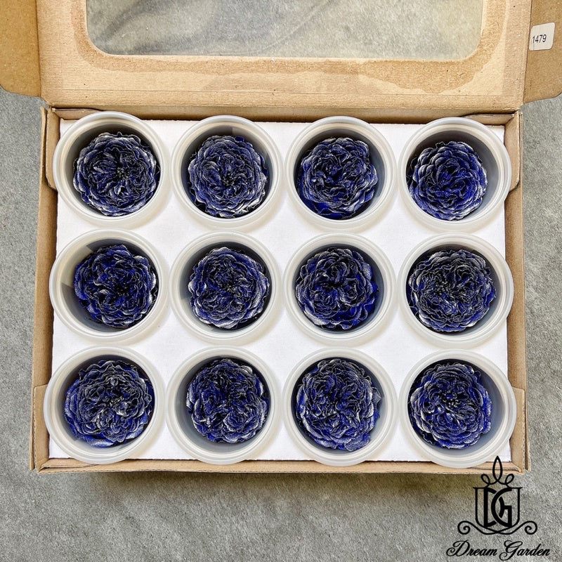 🇸🇬[SG Stock] Pearl Color RoseAmor Austin Japanese Preserved Roses Ecuador Preserved Roses Singapore Local Wholesalers