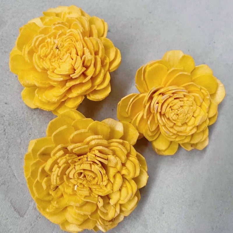 🇸🇬[SG Stock]Preserved Flowers Dried Flowers Colored Sola Flowers Wood Flower Handmade Flower Chrysanthemum Lotus Peony
