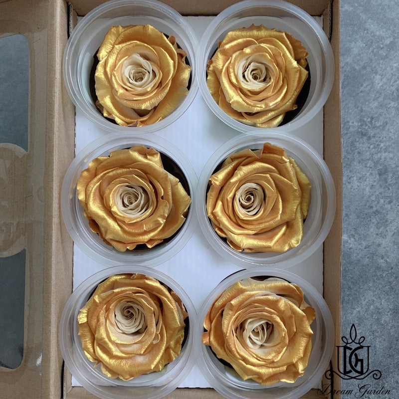 🇸🇬[SG Stock]🇸🇬SG Local Largest Wholesaler RoseAmor Pearl Color Preserved Roses Japanese Preserved Flowers Ecuador Roses