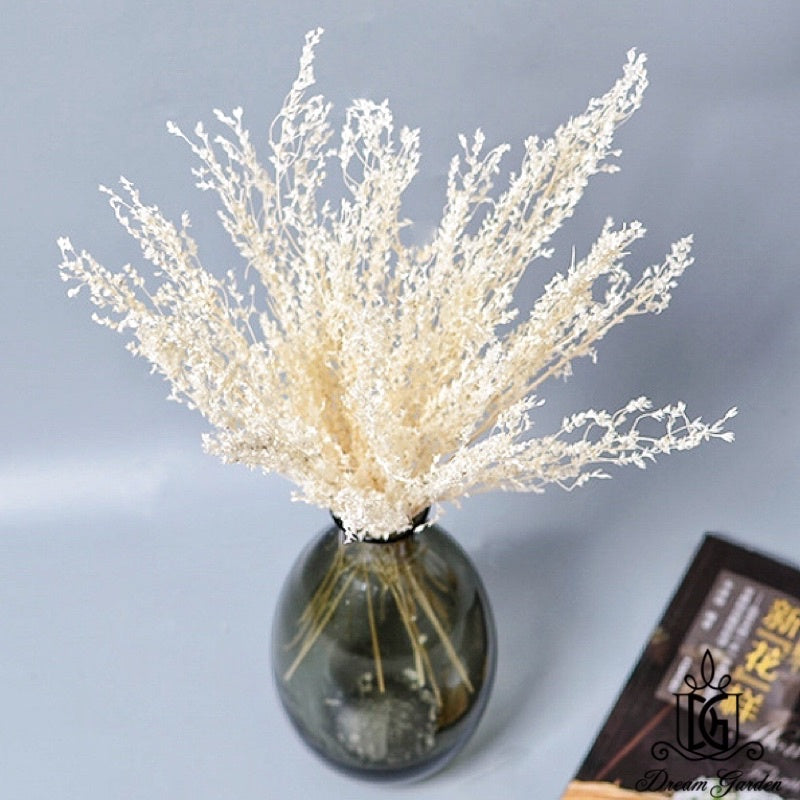 🇸🇬[SG Stock]SG Local Largest Wholesaler Dried White Grass Dried Flowers Suitable For Decoration/Wedding/DIY/Dome/Flora