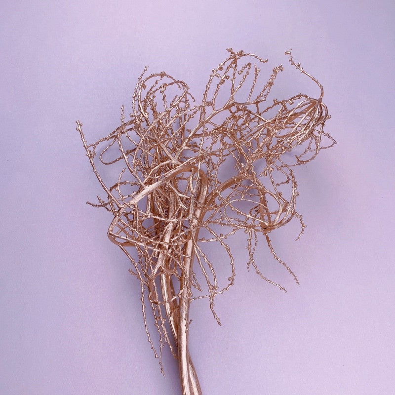 🇸🇬[SG Stock]Preserved Flowers Dried Flowers Gold Tree Branches Singapore Local Wholesaler Home Decoration/DIY/Wedding