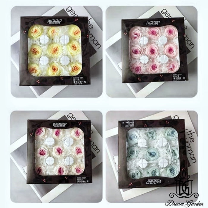 Japanese Earth Matters Preserved Austin roses Gradient | DreamGarden SG