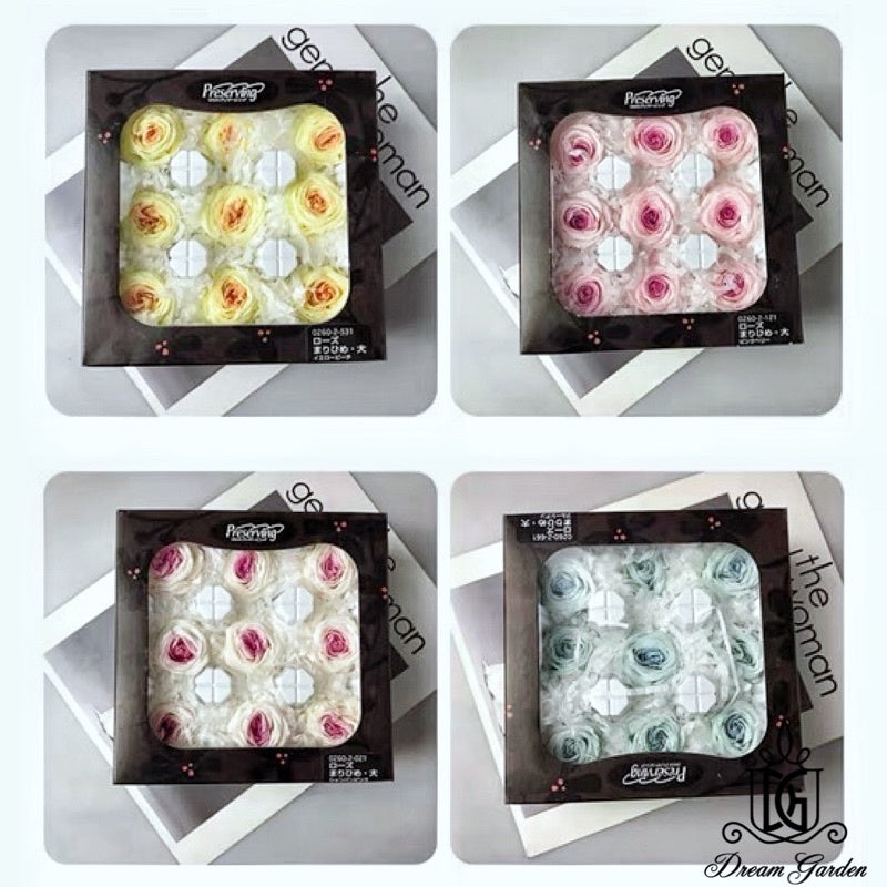 🇸🇬[SG Stock]🇸🇬SG Local Largest Wholesaler Japanese Earth Matters Preserved Austin roses Gradient color Preserved Flowers