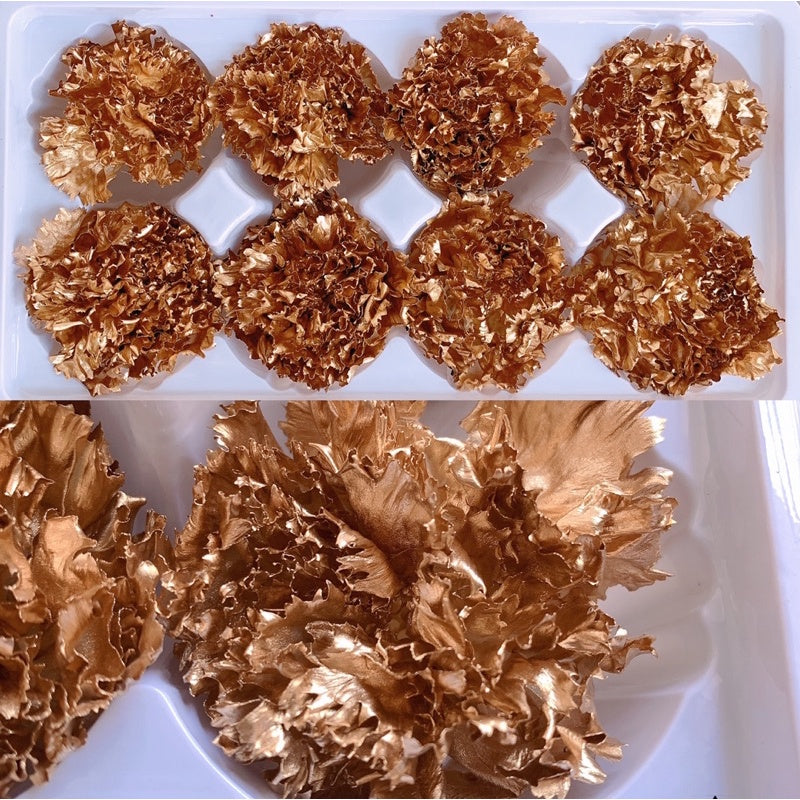🇸🇬[SG Stock][Dream Garden] Pearl Preserved Carnations Gold Preserved Carnation Dried Flowers Home Decoration/DIY/Wedding