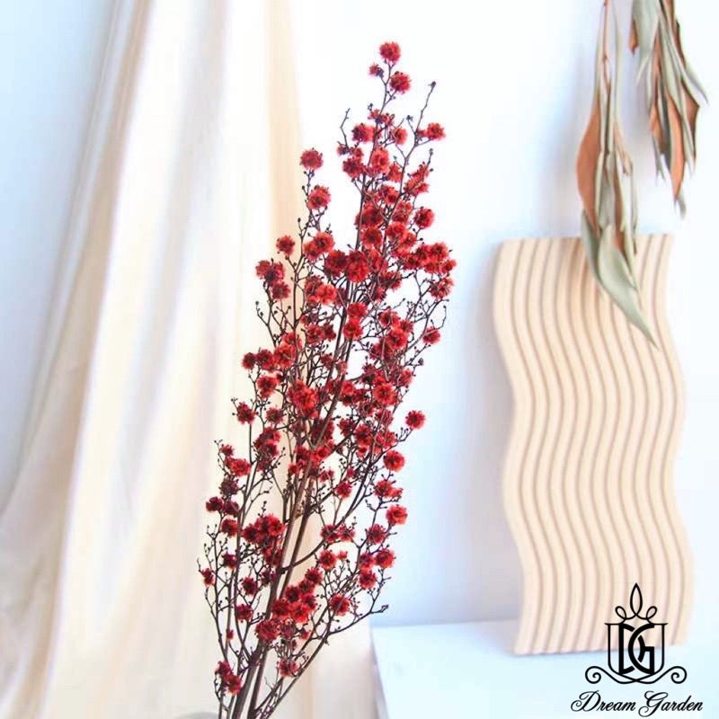 🇸🇬[SG Stock] Preserved Flower Branches For Home Decor/DIY/Wedding/Glass Cover Dome Dried Eternal Stirlingia Flowers