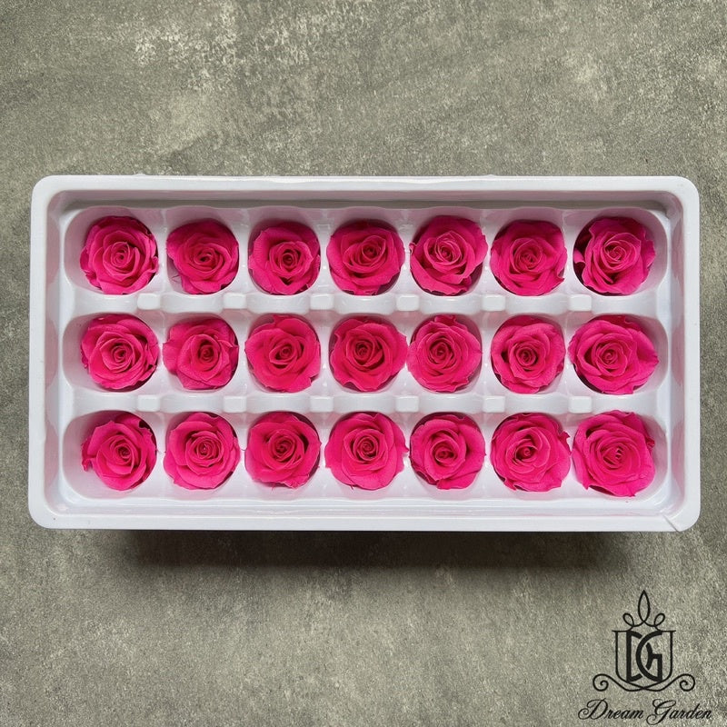 🇸🇬[SG Stock][Dream Garden]Grade B Preserved Roses 2cm-3cm Preserved Flowers Dried Flowers Home Decoration/DIY/Wedding