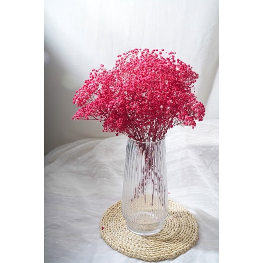 🇸🇬[SG Stock]Preserved Flowers Dried Flowers Preserved Baby Breath Singapore Local Florist/Home Decoration/DIY/Wedding