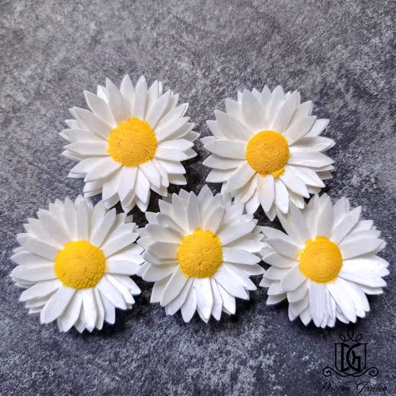 🇸🇬[SG Stock]SG Stock New Arrival Dried Flower Sola Flowers Wood Flower Handmade Flower Chrysanthemum Lotus Peony