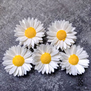 New Arrival Dried Flower Sola Flowers Wood Flower | DreamGarden SG