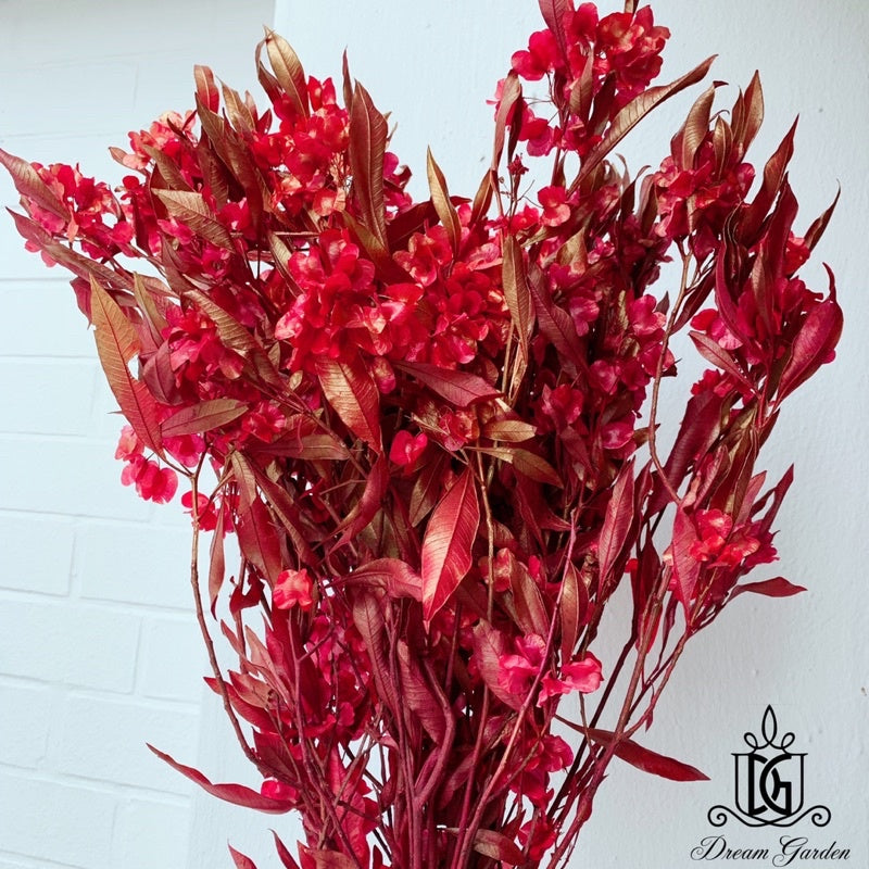 🇸🇬[SG Stock]Preserved Flowers Dried Flowers Preserved Lunaria <Honesty> Singapore Local Home Decoration/DIY/Wedding