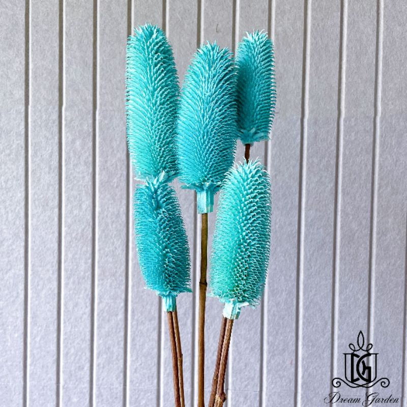 🇸🇬[SG Stock]Preserved Flowers Dried Flowers Dried Thistle Heads Singapore Local Wholesalers Home Decoration/DIY/Wedding