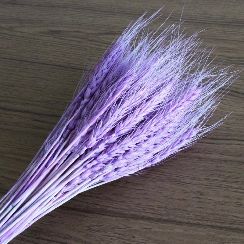 🇸🇬[SG Stock]Preserved Flowers Dried Flowers Dried Wheat Singapore Local Wholesalers Home Decoration/DIY/Wedding