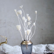 Dried Wild Fennel Dried Ammi Majus Dried Flowers | DreamGarden SG