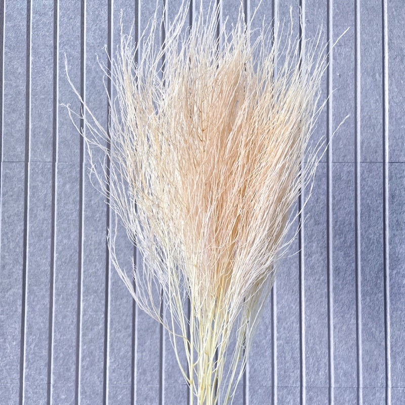 🇸🇬[SG Stock] Preserved Feather Grass For Christmas Home Decor/DIY/Wedding/Glass Cover Dome Dried Eternal Flowers