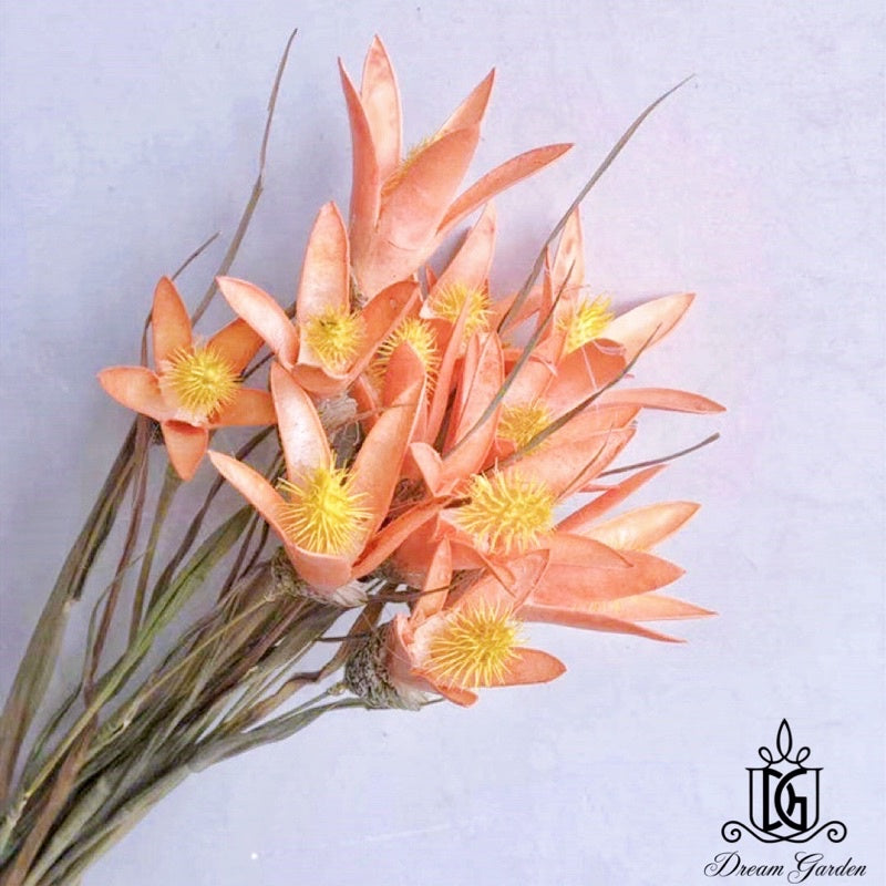 🇸🇬[SG Stock][Dream Garden]Handmade Dried Lily Flower Dried Magnolia Flower Dried Flowers Home Decoration/DIY/Wedding