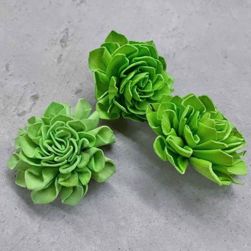 🇸🇬[SG Stock]Preserved Flowers Dried Flowers Colored Sola Flowers Wood Flower Handmade Flower Chrysanthemum Lotus Peony