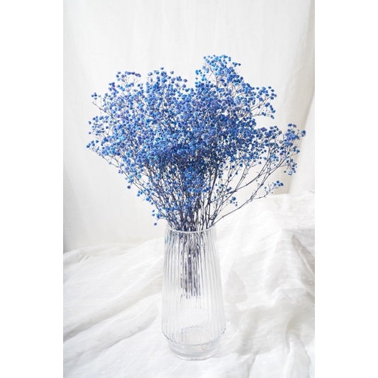 🇸🇬[SG Stock]Preserved Flowers Dried Flowers Preserved Baby Breath Singapore Local Florist/Home Decoration/DIY/Wedding