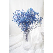 Preserved Baby Breath | DreamGarden SG