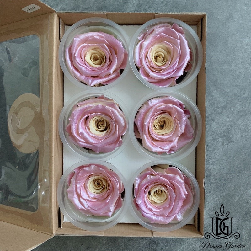 🇸🇬[SG Stock]🇸🇬SG Local Largest Wholesaler RoseAmor Pearl Color Preserved Roses Japanese Preserved Flowers Ecuador Roses