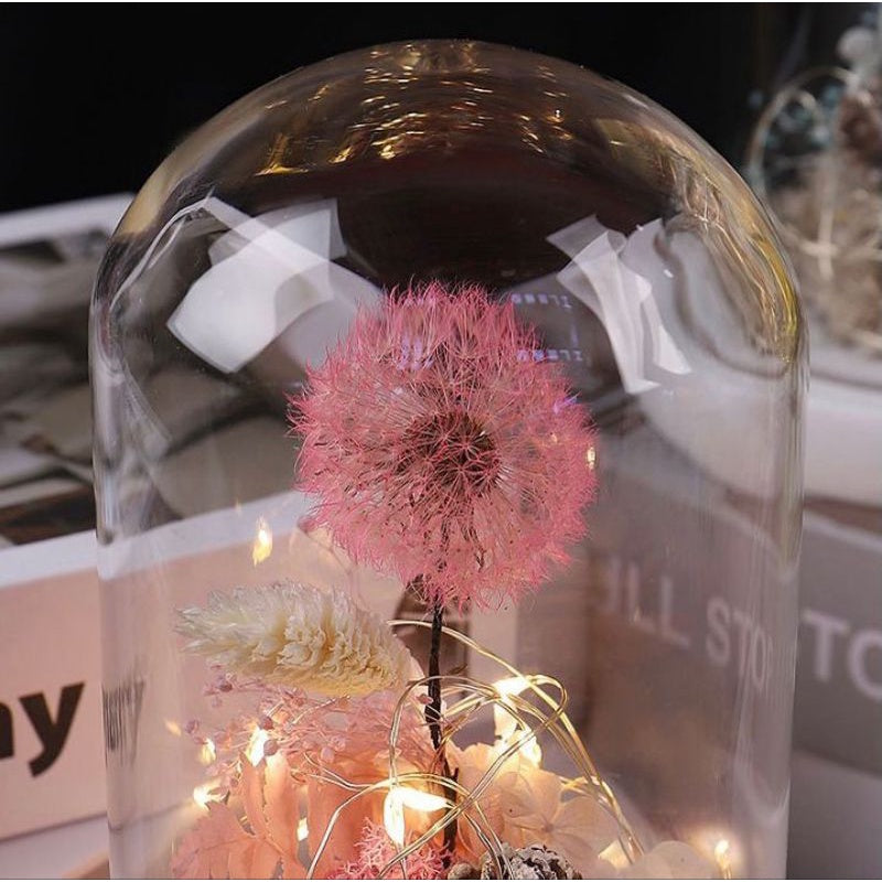 🇸🇬[SG Stock]Preserved Flowers Preserved Dandelion Singapore Local Wholesalers Home Decoration/DIY/Wedding