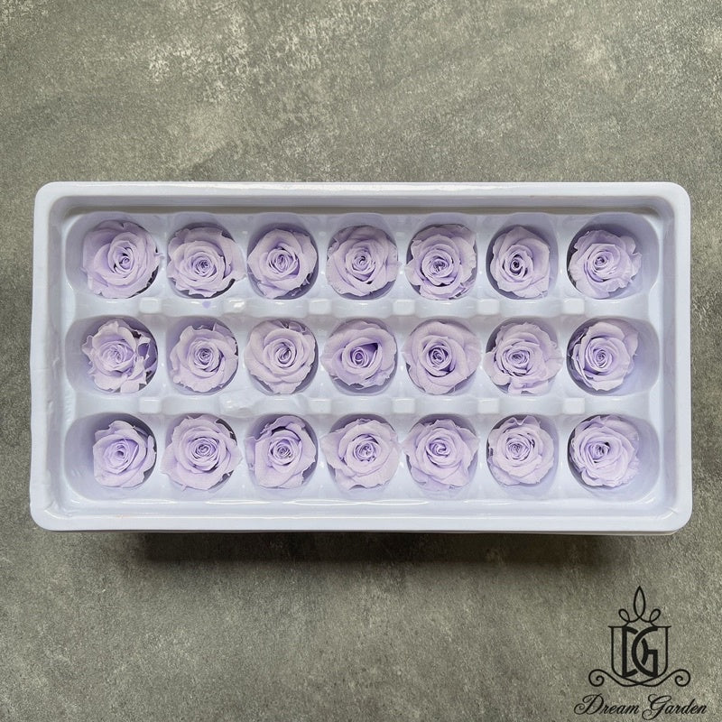 🇸🇬[SG Stock][Dream Garden]Grade B Preserved Roses 2cm-3cm Preserved Flowers Dried Flowers Home Decoration/DIY/Wedding
