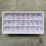 Grade B Preserved Roses 2cm-3cm | DreamGarden SG