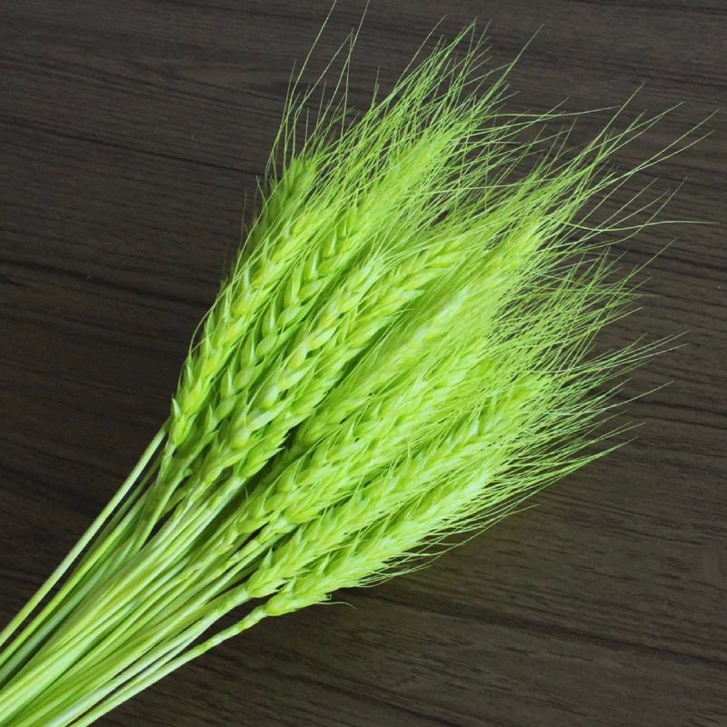🇸🇬[SG Stock]Preserved Flowers Dried Flowers Dried Wheat Singapore Local Wholesalers Home Decoration/DIY/Wedding