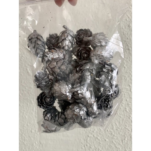 🇸🇬[SG Stock]Preserved Flowers Dried Flowers Dried Fruits Singapore Local Wholesalers Home Decoration/DIY/Wedding