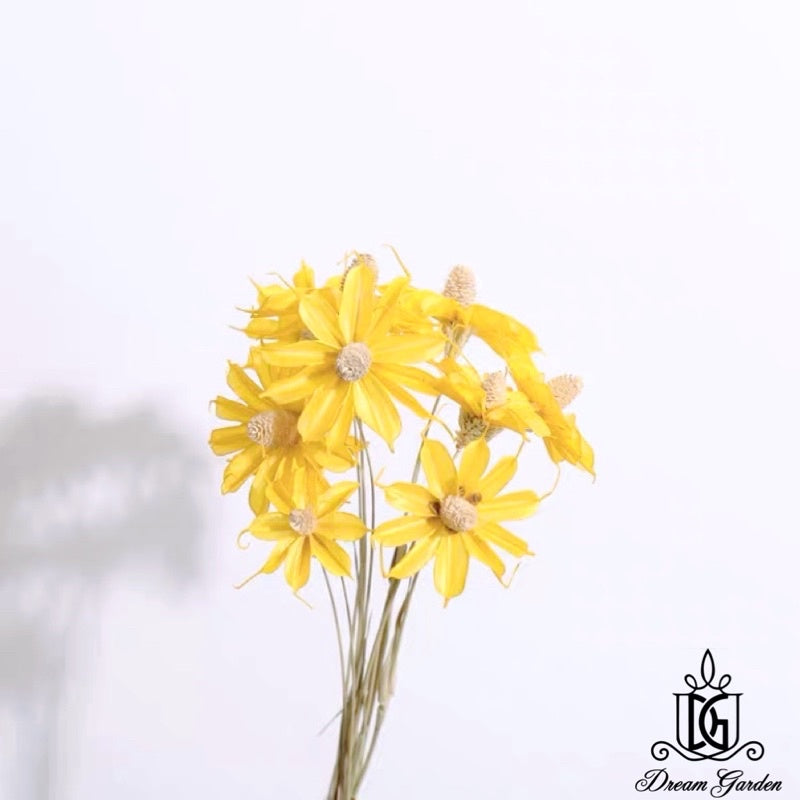 🇸🇬[SG Stock] SG Local Largest Wholesaler Handmade Daisy Chrysanthemum Dried Flowers Suitable For Decoration/Wedding/DIY