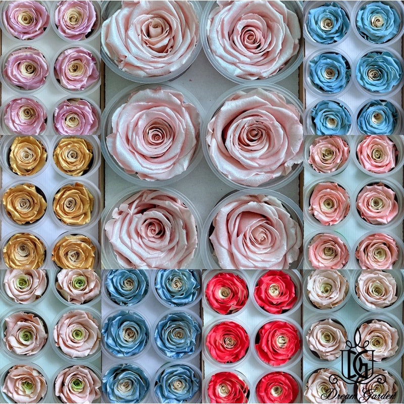 🇸🇬[SG Stock]🇸🇬SG Local Largest Wholesaler RoseAmor Pearl Color Preserved Roses Japanese Preserved Flowers Ecuador Roses