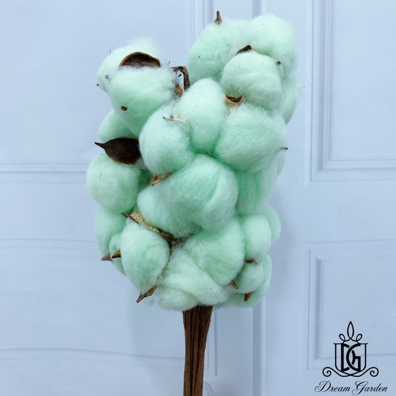 🇸🇬[SG Stock]Preserved Flowers Dried Flowers Cotton Flowers Singapore Local Wholesalers Home Decoration/DIY/Wedding