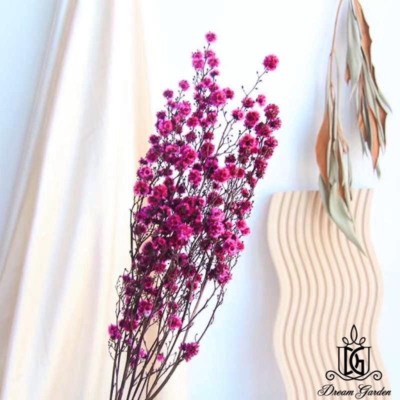 🇸🇬[SG Stock] Preserved Flower Branches For Home Decor/DIY/Wedding/Glass Cover Dome Dried Eternal Stirlingia Flowers