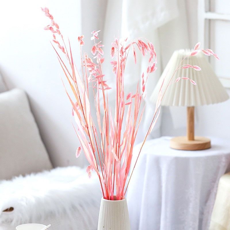 🇸🇬[SG Stock]Preserved Flowers Dried Flower Preserved Chasmanthium Latifolium Northern Sea Oats Spangle Grass Spike Grass