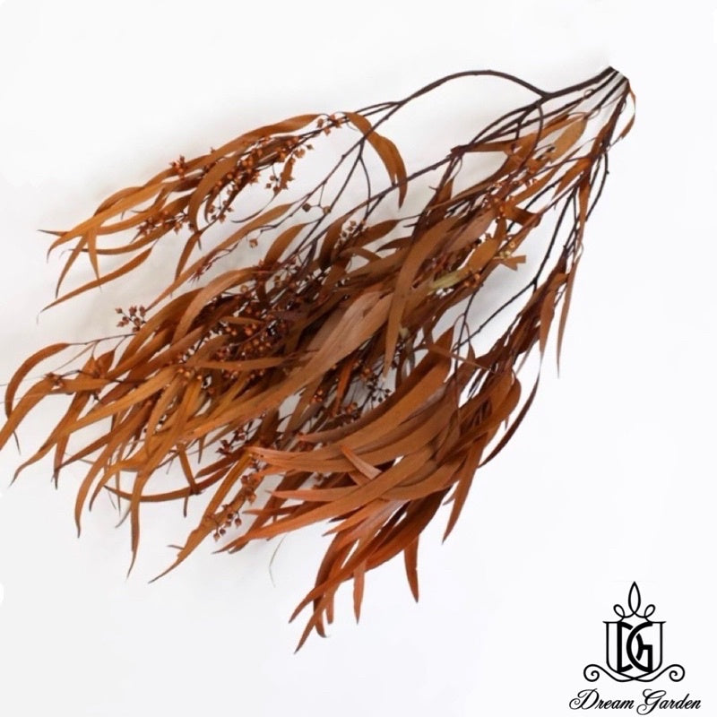 🇸🇬[SG Stock]Singapore Local Wholesaler Dream Garden Preserved Flowers Dried Flower Preserved Leaves Preserved Eucalyptus