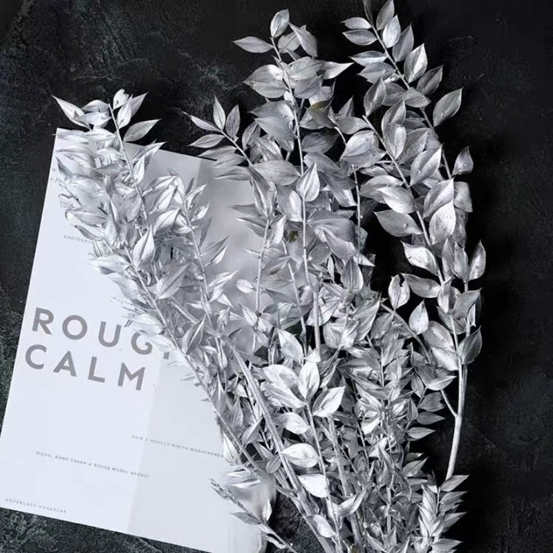 🇸🇬[SG Stock]Preserved Flowers Dried Flowers Preserved Ruscus Singapore Local Wholesaler Home Decoration/DIY/Wedding