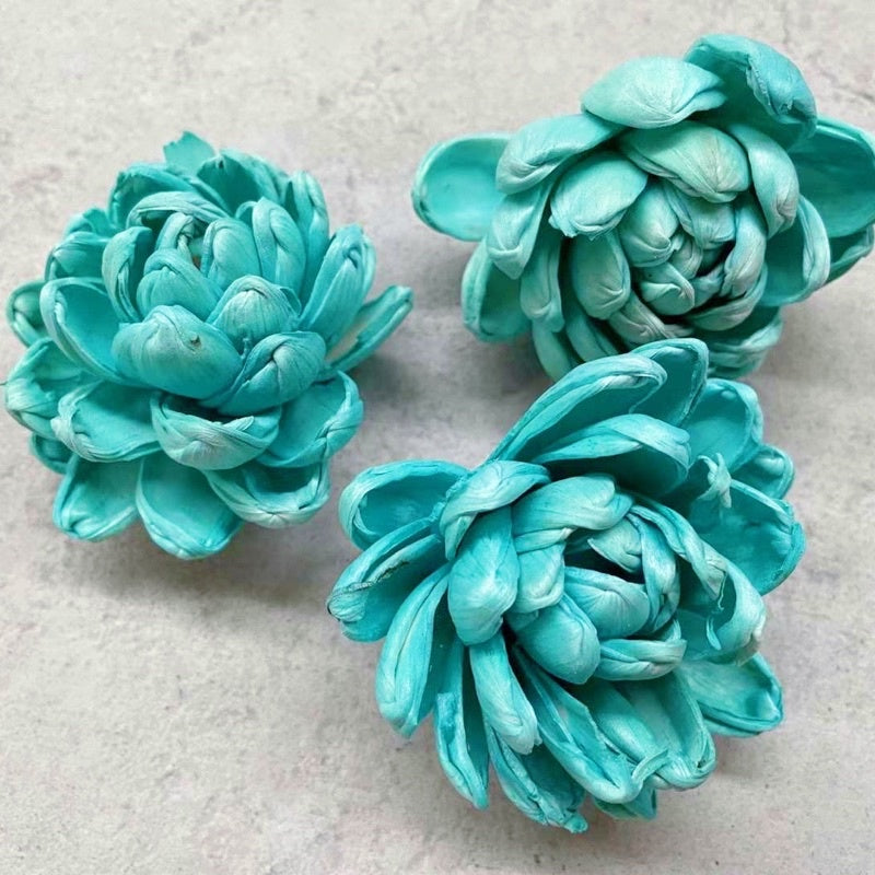 🇸🇬[SG Stock]Preserved Flowers Dried Flowers Colored Sola Flowers Wood Flower Handmade Flower Chrysanthemum Lotus Peony