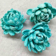 Preserved Flowers Colored Sola Flowers Wood Flower 3 | DreamGarden SG