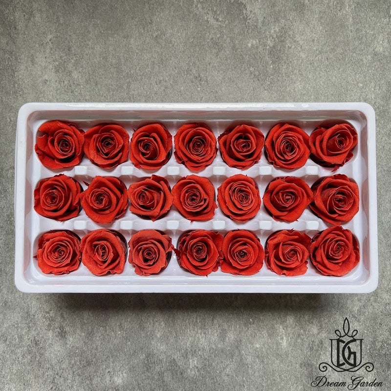 🇸🇬[SG Stock][Dream Garden]Grade A Preserved Roses 2cm-3cm Preserved Flowers Dried Flowers Home Decoration/DIY/Wedding